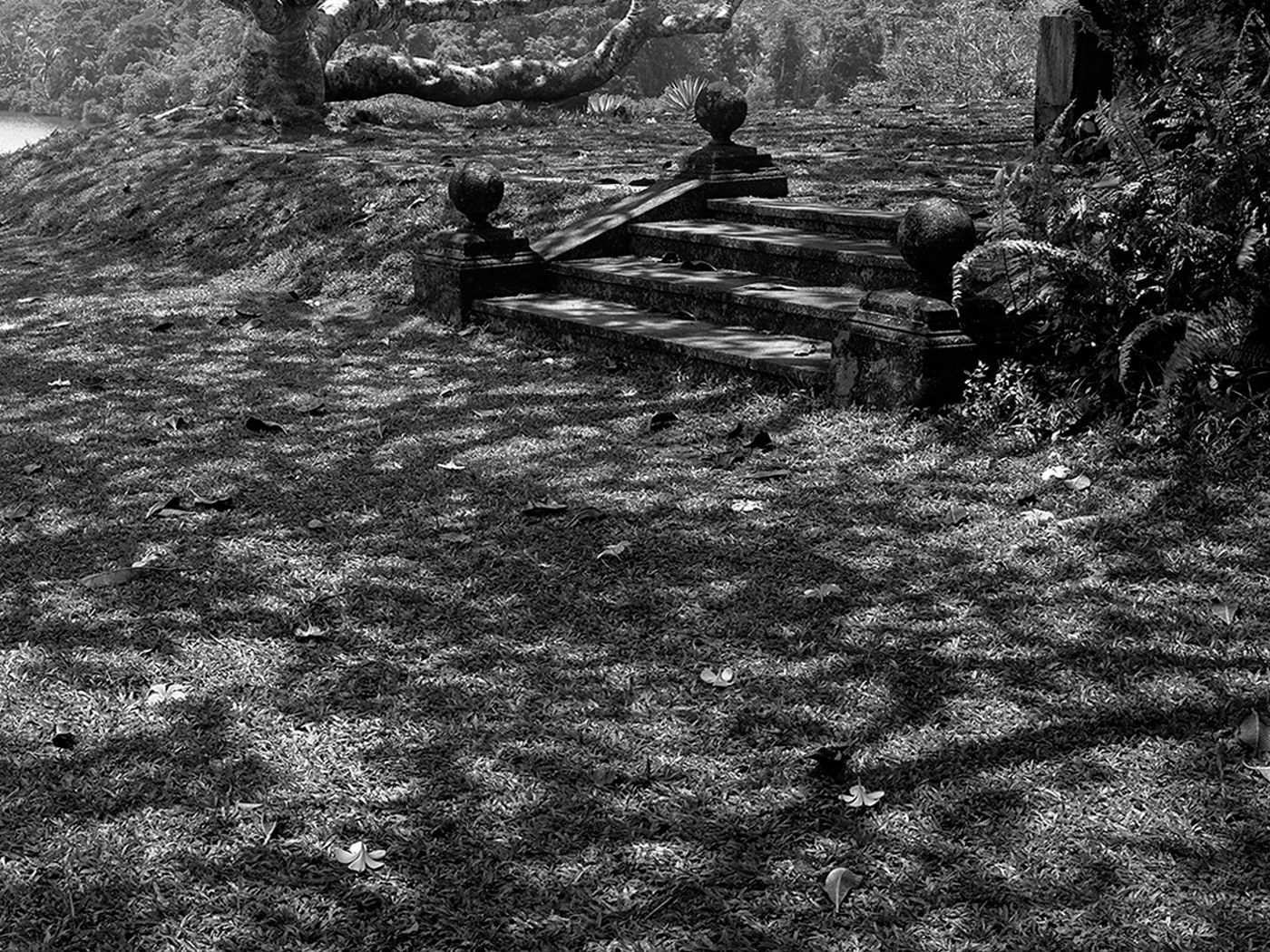 Does Not Your House Dream?